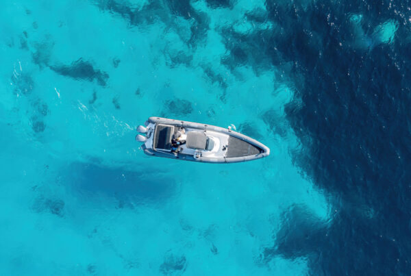 Ribcruises